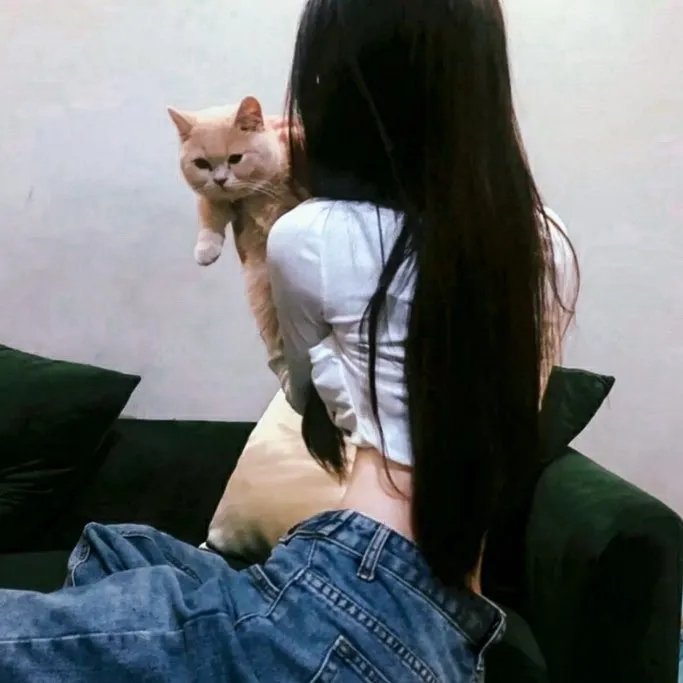 有仇必报